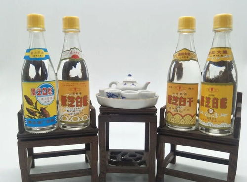 為何半斤白酒尚清醒，兩瓶啤酒卻已醉？——酒精飲料與醉酒的秘密